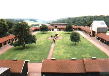 The Home of Rest for Horses