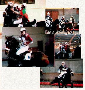 Exemples d'action de Horse-Ball des &eacute;quipes de Gonesse